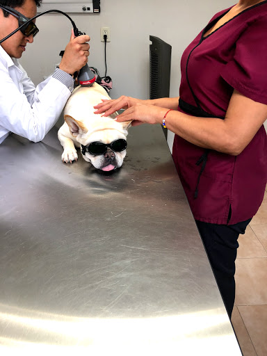 Veterinaria Naucalpan de Juárez