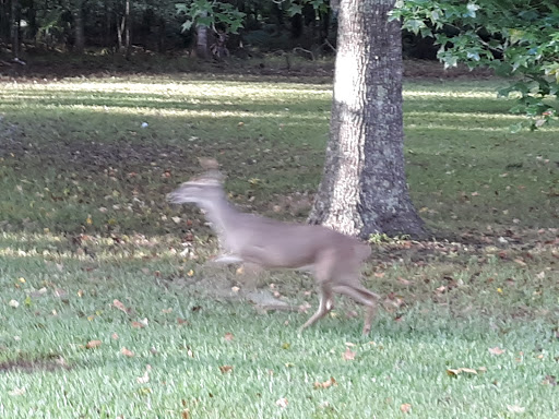 Golf Club «Newport Golf Club & Conference Center», reviews and photos, 16401 Country Club Dr, Crosby, TX 77532, USA
