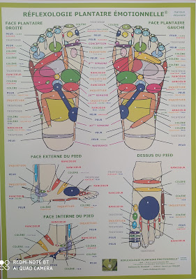 Réflexologue Plantaire émotionnelle, Shiatsu en entreprise, Sainte pazanne, Alexandra Gérard à Sainte-Pazanne