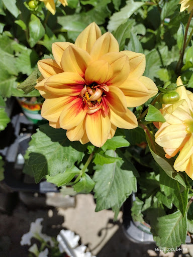 Home Improvement Store «The Home Depot», reviews and photos, 10800 Brookpark Rd, Cleveland, OH 44130, USA