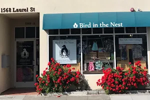 Bird in the Nest image