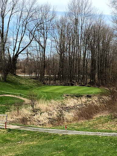 Golf Club «Lake Lorain Golf Club», reviews and photos, 60 Lake Lorain Rd, Poyntelle, PA 18454, USA