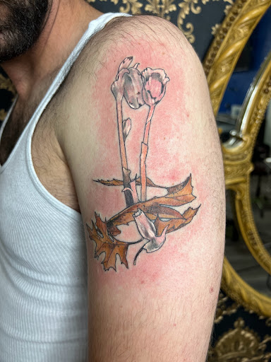 Explore chicago bulls tattoo ideas, creative tattoo ideas in Lancaster, available at Loud ink lancaster