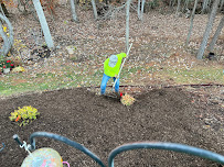 Angeles Lawn & Landscape LLC - Photo 6 - Car repair in , Gastonia