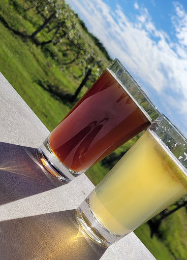 Winery «Virant Family Winery Inc», reviews and photos, 541 Atkins Rd, Geneva, OH 44041, USA