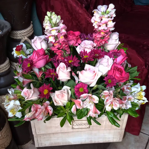 L’amourgiftss – Jocotepec