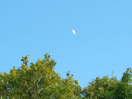 Golf Club «Willowbrook Golf Club», reviews and photos, 3267 NY-215, Cortland, NY 13045, USA