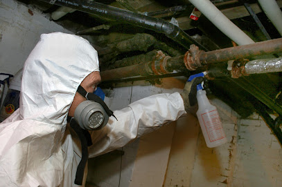 Asbestos Testing & Removal Services