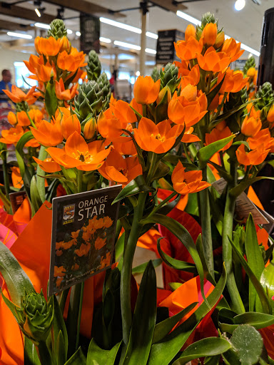 Grocery Store «Food Lion», reviews and photos, 5601 Richmond Rd a, Williamsburg, VA 23188, USA