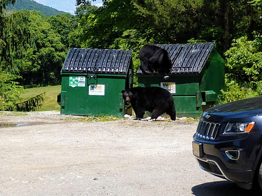 Country Club «Great Gorge Golf Course», reviews and photos, 414 County Road 517, Vernon Township, NJ 07462, USA