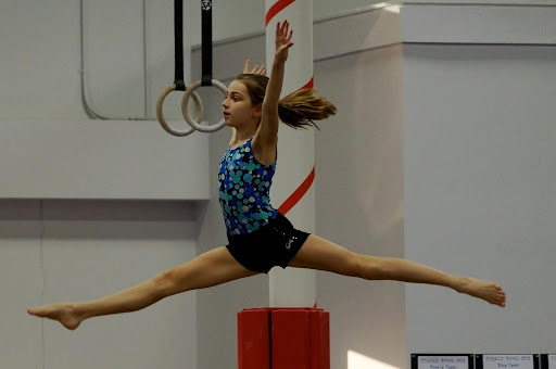 Gymnastics Center «Best Gymnastics», reviews and photos, 601 Cross Timbers Rd, Flower Mound, TX 75028, USA