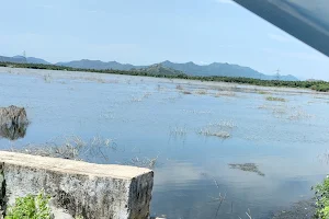 Nellorepet lake Gudiyattam image