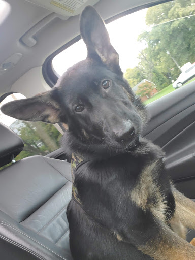 960 W Main St, Lebanon, OH 45036, USA