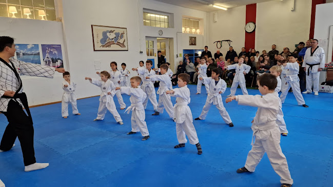 Kim Taekwondo Academy - Reinach