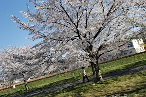 Ōhorigawa Riverside Park image