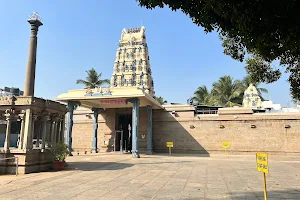 Shri Srinivasa Perumal Temple image