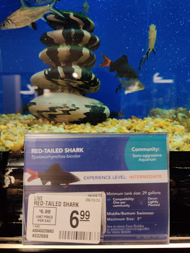 Pet Supply Store «PetSmart», reviews and photos, 215 Needham St, Newton, MA 02464, USA