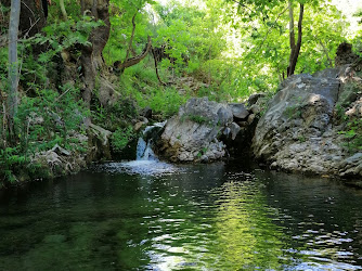 Barı Çiftliği