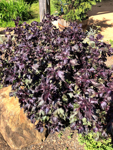 Park «Heritage Park», reviews and photos, 99 Lake Dow Rd, McDonough, GA 30252, USA