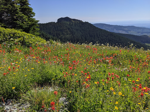 Silver Star Scenic Area