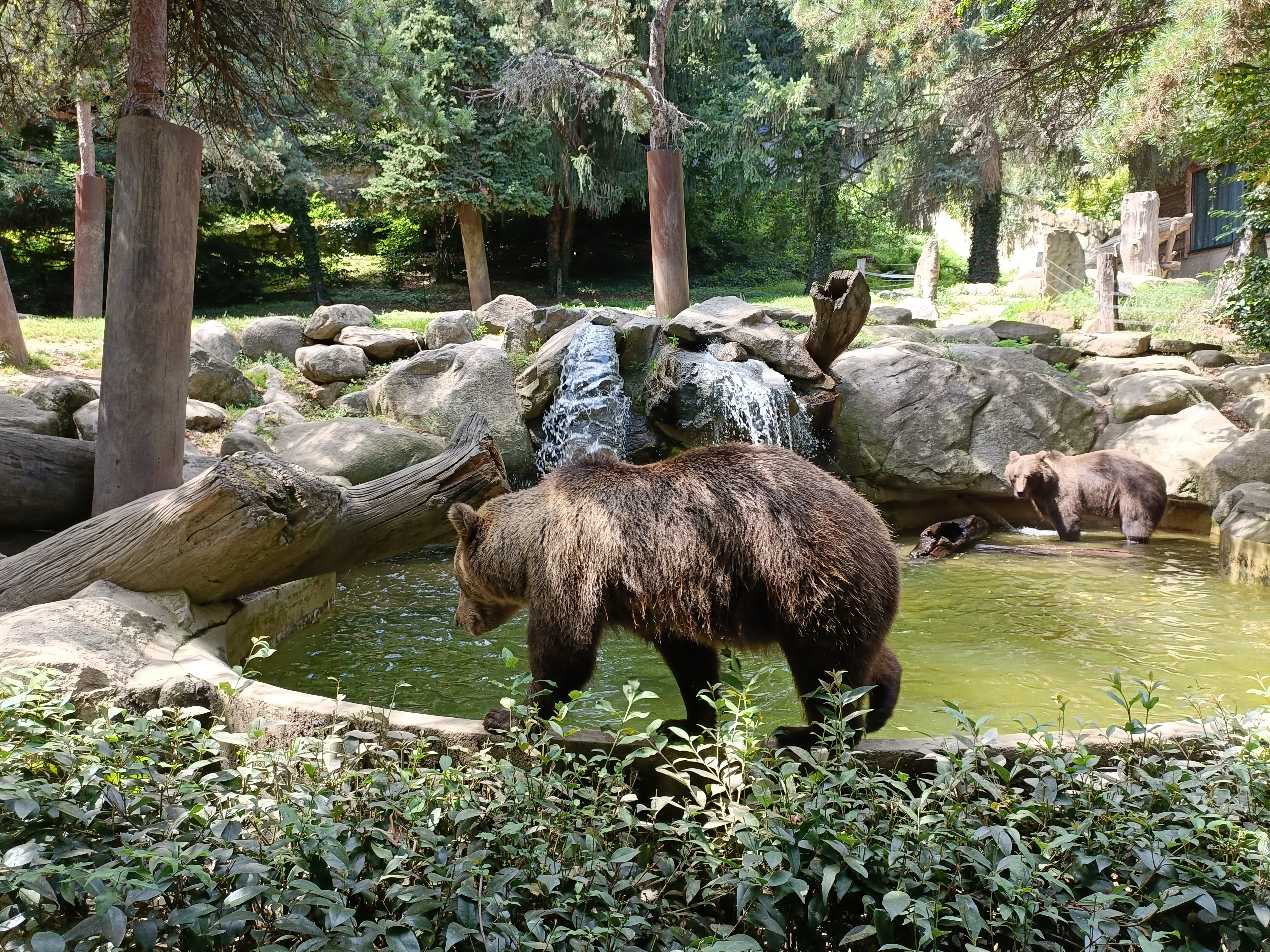 Photo n° 4 de l'avis de Laurence. fait le 25/08/2023 à 18:50