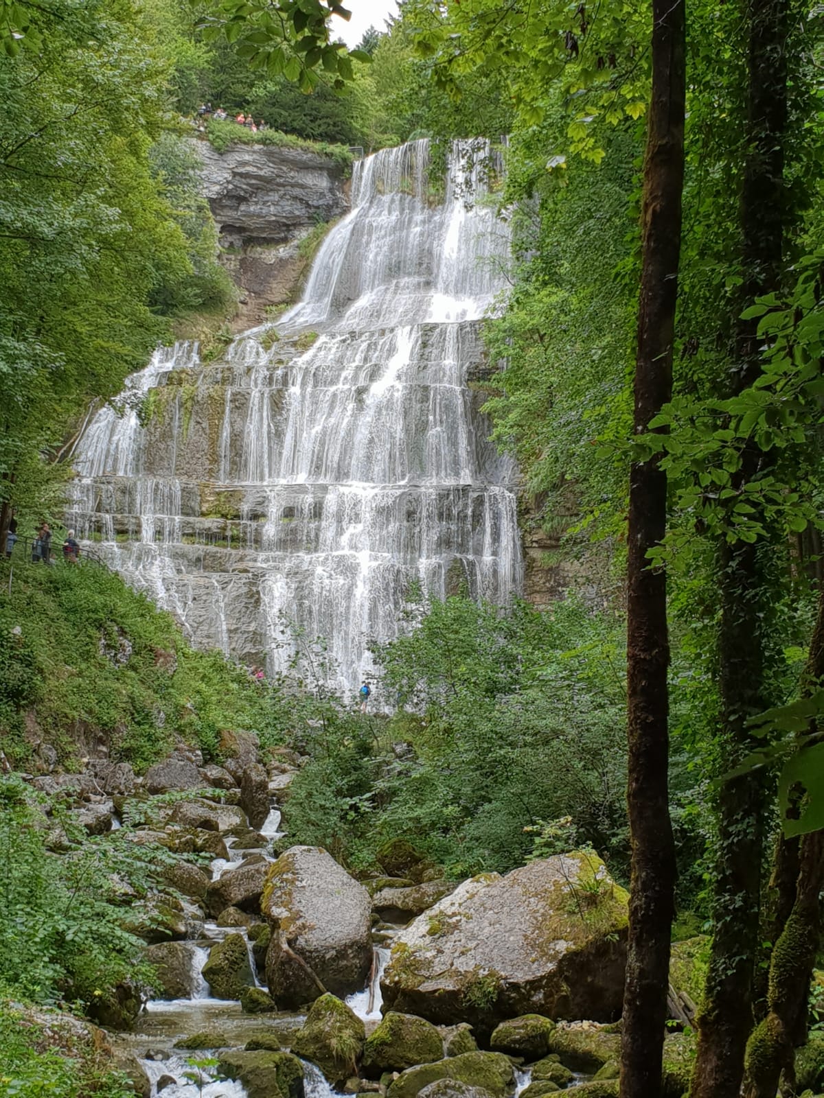 Photo n° 4 de l'avis de totof.h fait le 22/08/2019 à 14:27