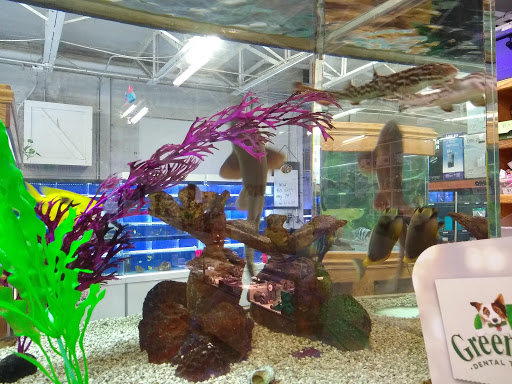 Pet Store «The Pet Zone», reviews and photos, 20 W Oak St, Pittston, PA 18640, USA