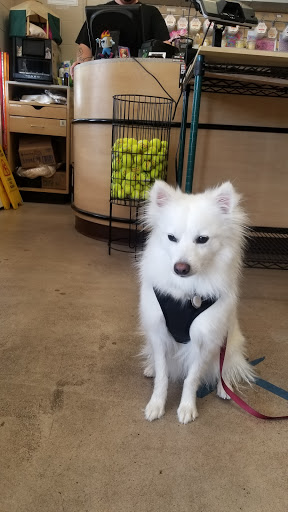 Pet Supply Store «Pet Pantry & Dog Wash», reviews and photos, 5148 Academy Blvd N, Colorado Springs, CO 80918, USA