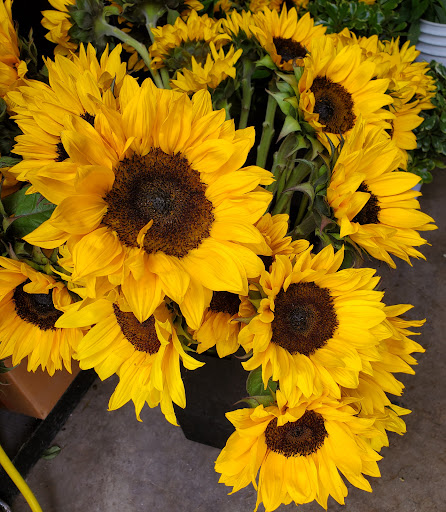 Florist «Bloomshop», reviews and photos, 6531 W Farm to Market Rd 78, San Antonio, TX 78244, USA