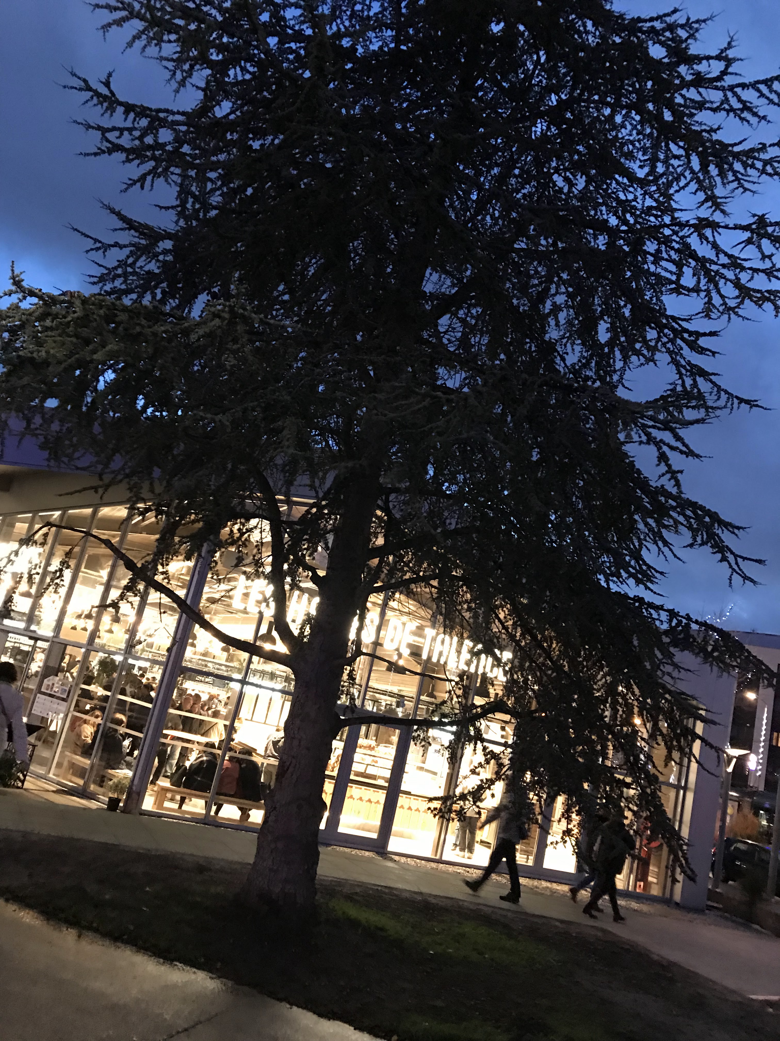Photo n° 7 de l'avis de harit.a fait le 16/12/2018 à 17:22