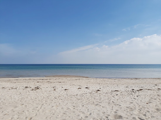 Kronsgaard strand