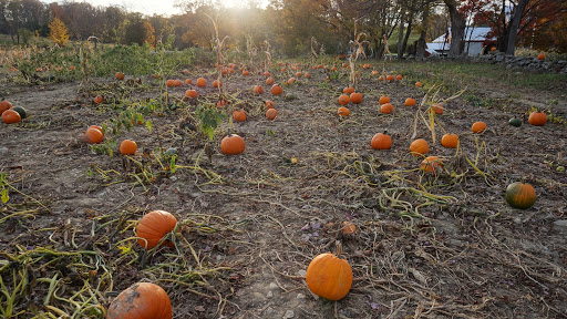 Wright Family Farm, 329 Kings Hwy, Warwick, NY 10990, USA, 