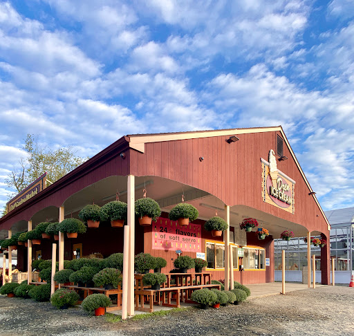 Dzen Garden Market, 187 Windsorville Rd, Ellington, CT 06029, USA, 