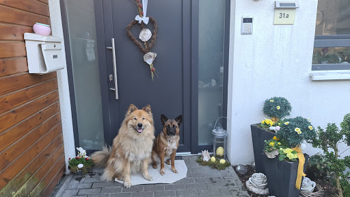 Bettina Weinert Tierärztin unter Gütersloh, Nordrhein-Westfalen