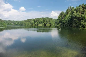 Rezerwat torfowiskowy "Mszar" image