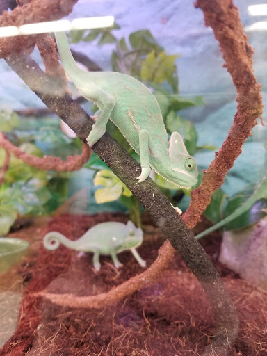 Pet Supply Store «Petco Animal Supplies», reviews and photos, 10 Waterfront Pl, Port Chester, NY 10573, USA