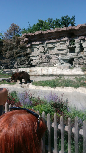 Zoo «Arctic Ring of Life», reviews and photos, 8450 W 10 Mile Rd, Royal Oak, MI 48067, USA