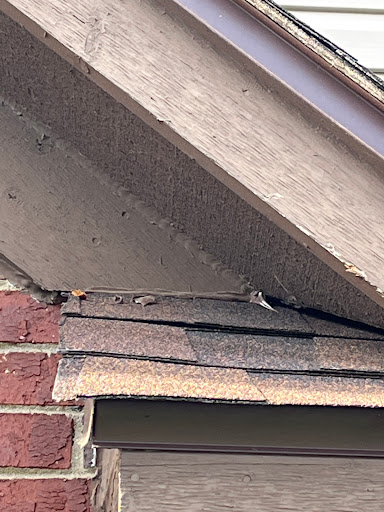 Roofing Contractor «HomeZone Improvements», reviews and photos