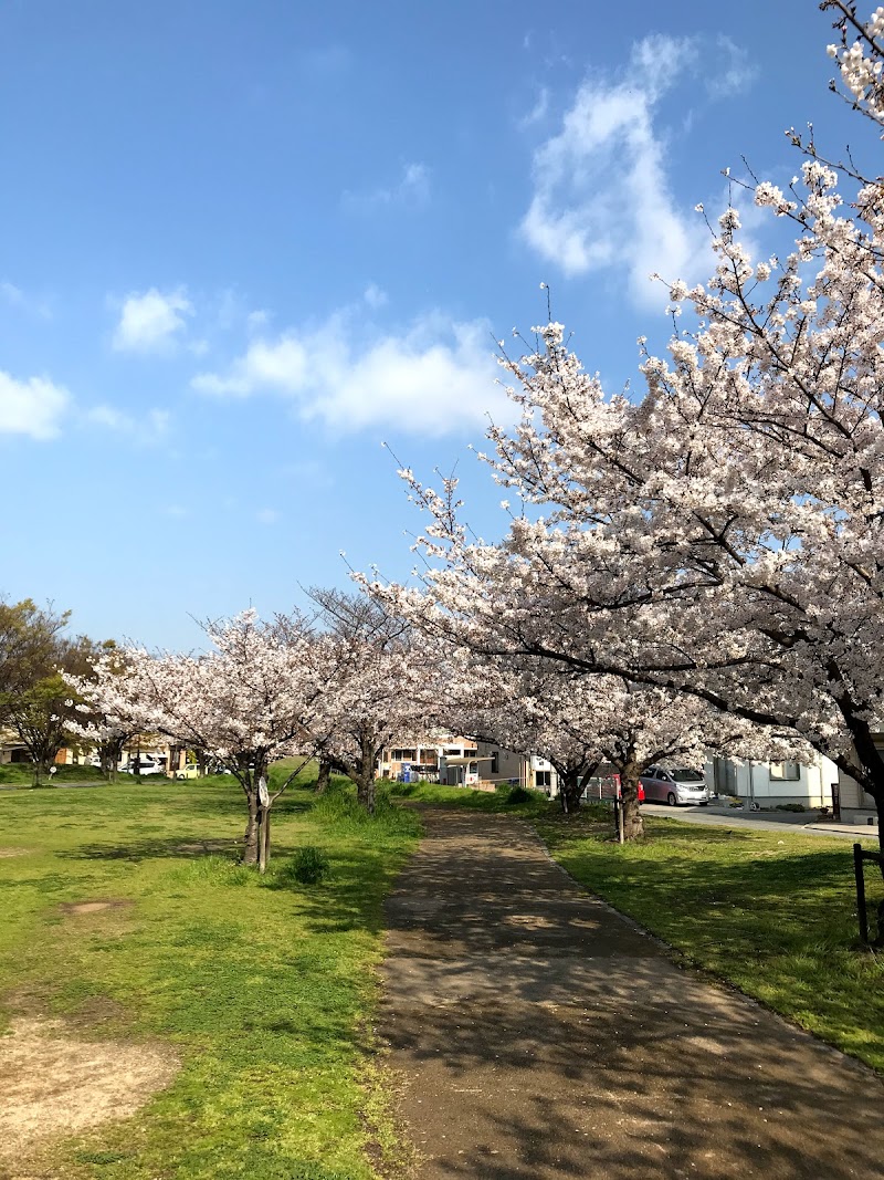 尾上公園 兵庫県加古川市尾上町 公園 グルコミ