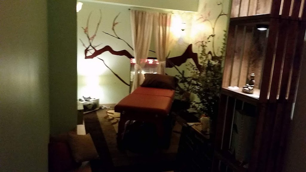 The Mint Room Massage and Thai Bodywork Chicago, IL 60614 Services and Reviews