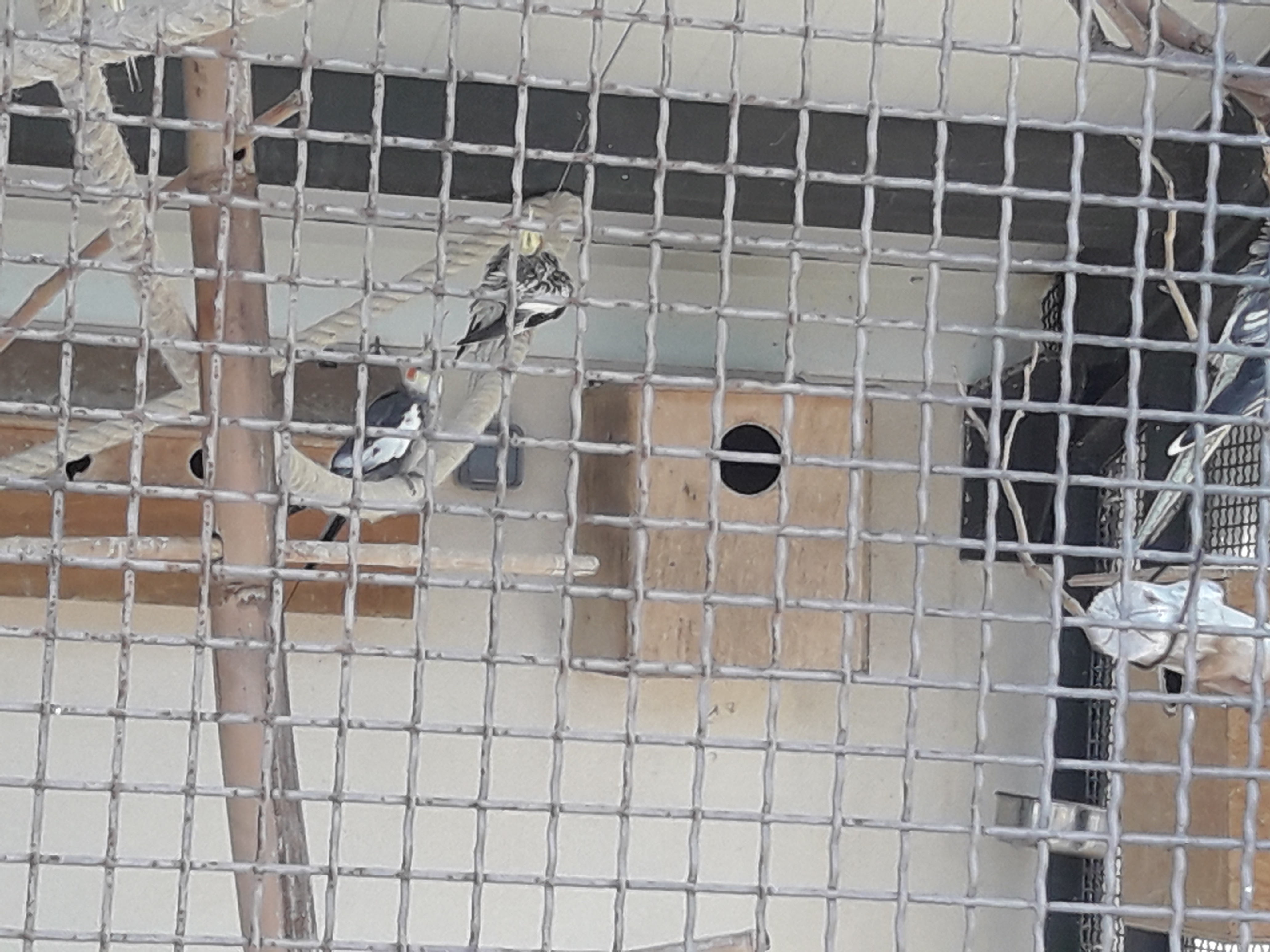 Photo n° 16 de l'avis de Lionel.a fait le 29/06/2019 à 10:44