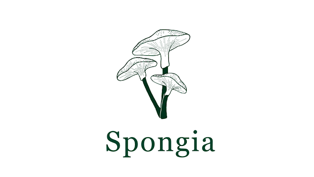 Spongia - Kalundborg