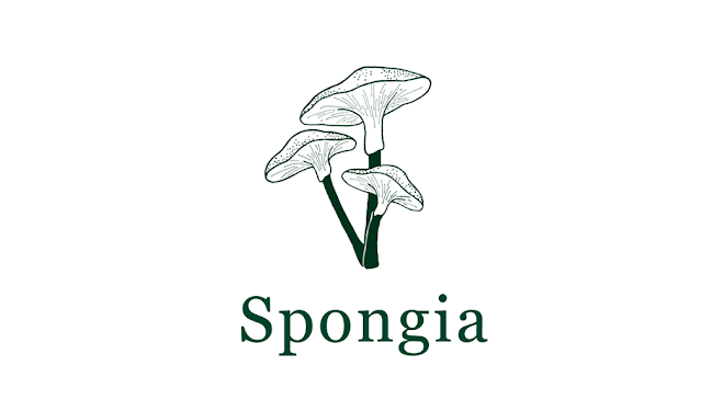 Spongia