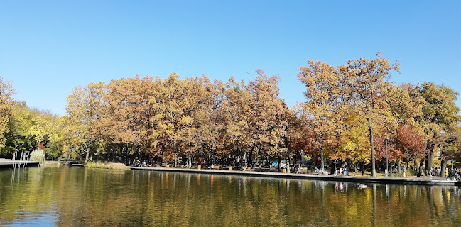 Értékelések erről a helyről: Nagyerdei Park, Debrecen - Parkoló