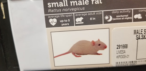 Fast Food Restaurant «Chick-fil-A», reviews and photos, 1198 S Havana St, Aurora, CO 80012, USA