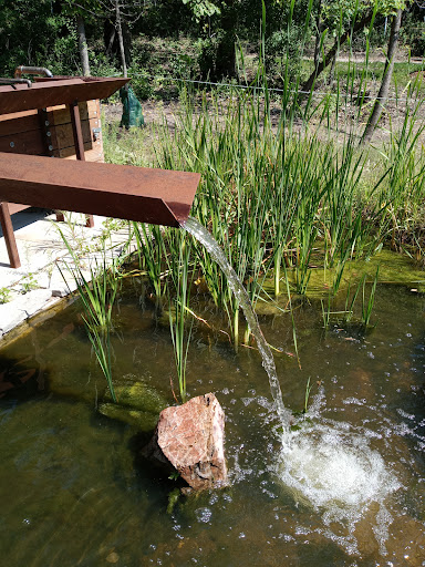 Nature Preserve «Westwood Hills Nature Center», reviews and photos, 8300 W Franklin Ave, St Louis Park, MN 55426, USA