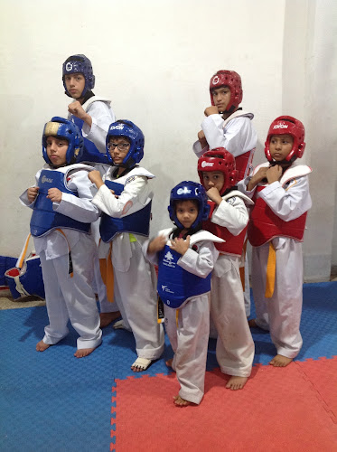 Academia de Taekwondo FIREKICK