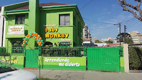 Jardin infantil Baby Monkey