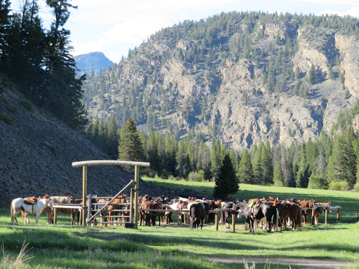 National Park «Yellowstone National Park», reviews and photos