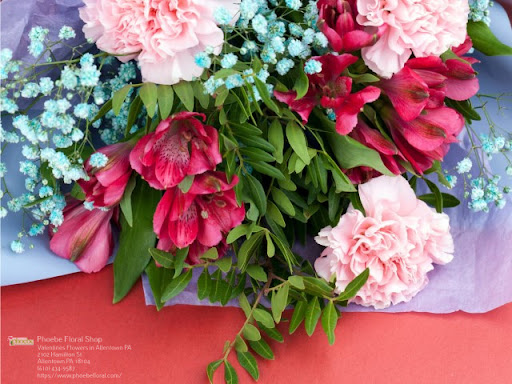 Florist «Phoebe Floral Shop», reviews and photos, 2102 Hamilton St, Allentown, PA 18104, USA